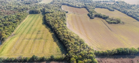 Invest in Kansas Farm Land with Income and Whitetail Hunting - image 3