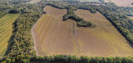 Invest in Kansas Farm Land with Income and Whitetail Hunting - image 2