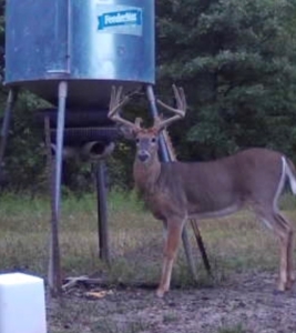 Invest in Kansas Farm Land with Income and Whitetail Hunting - image 12