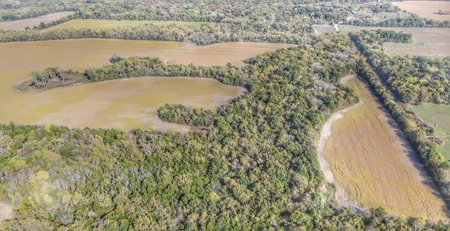 Invest in Kansas Farm Land with Income and Whitetail Hunting - image 7