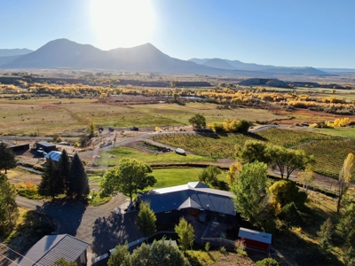 Colorado Winery for Sale - image 9