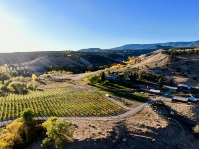 Colorado Winery for Sale - image 5