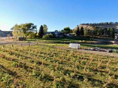 Colorado Winery for Sale - image 6