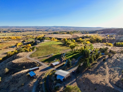 Colorado Winery for Sale - image 2