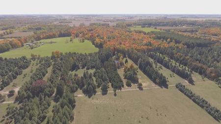 High Fence Hunting Ranch for Sale Trophy Elk Deer Ranch MI - image 34