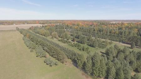 High Fence Hunting Ranch for Sale Trophy Elk Deer Ranch MI - image 30