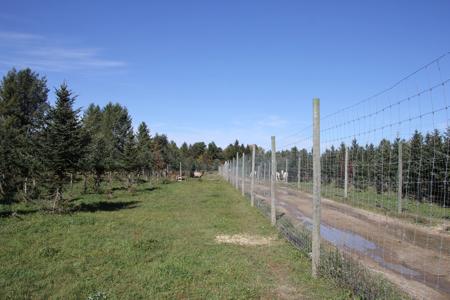 High Fence Hunting Ranch for Sale Trophy Elk Deer Ranch MI - image 3