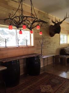 High Fence Hunting Ranch for Sale Trophy Elk Deer Ranch MI - image 48