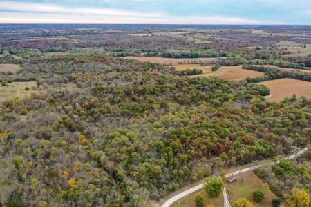 Kansas Premier Hunting Land Auction - image 10