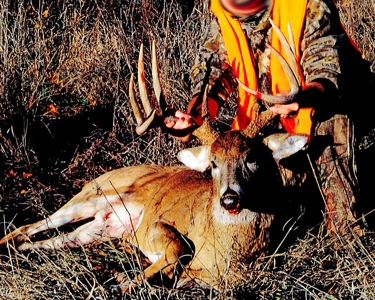 Kansas Premier Hunting Land Auction - image 19