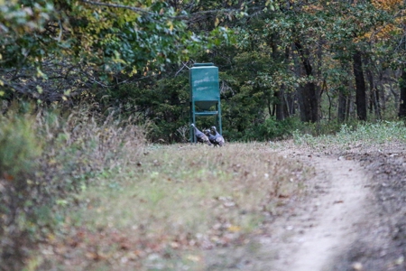 Kansas Premier Hunting Land Auction - image 14
