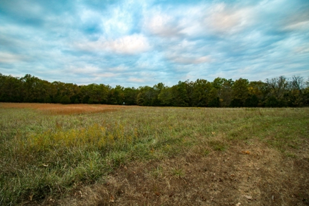 Kansas Premier Hunting Land Auction - image 9