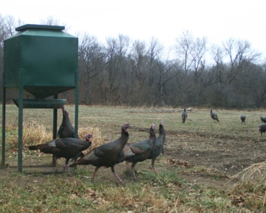 Kansas Premier Hunting Land Auction - image 21