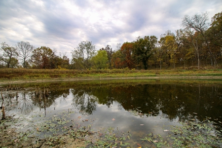 Kansas Premier Hunting Land Auction - image 15