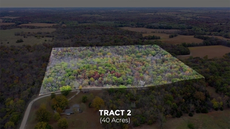 Kansas Premier Hunting Land Auction - image 2