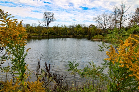 Kansas Premier Hunting Land Auction - image 7