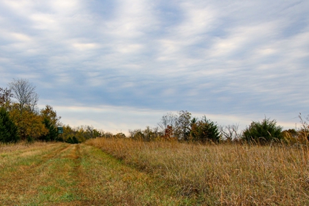 Kansas Premier Hunting Land Auction - image 6