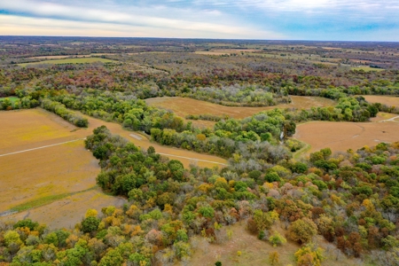 Kansas Premier Hunting Land Auction - image 8