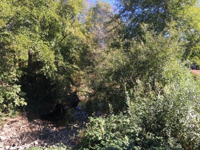 RV Park business opportunity with property in Merlin, Oregon - image 9