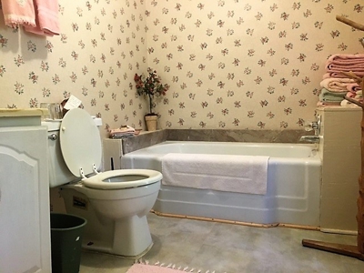 Historic White River Property Sale In Calico Rock, Ar - image 39