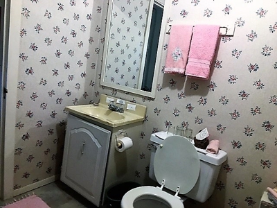 Historic White River Property Sale In Calico Rock, Ar - image 40