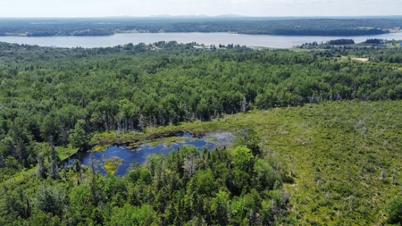 Coastal Waterfront Land for Sale - image 16