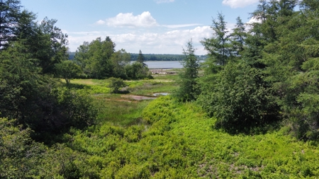 Coastal Waterfront Land for Sale - image 22