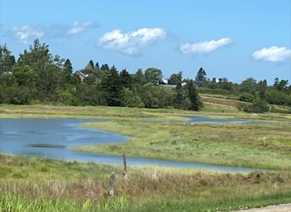 Coastal Waterfront Land for Sale - image 3