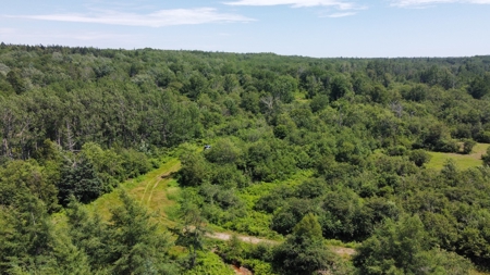 Coastal Waterfront Land for Sale - image 18