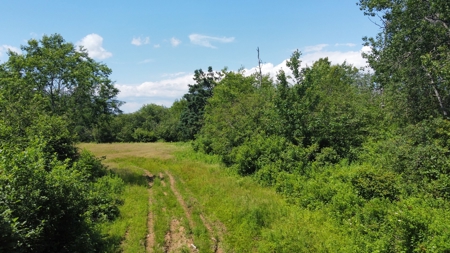 Coastal Waterfront Land for Sale - image 12