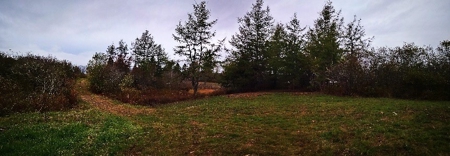 Coastal Waterfront Land for Sale - image 7