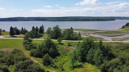 Coastal Waterfront Land for Sale - image 21