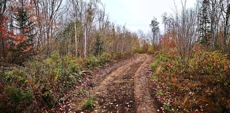 Coastal Waterfront Land for Sale - image 9