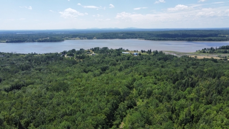 Coastal Waterfront Land for Sale - image 15