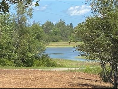 Coastal Waterfront Land for Sale - image 1