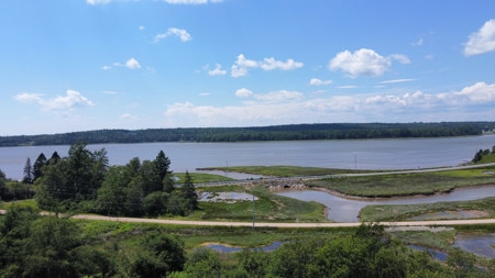 Coastal Waterfront Land for Sale - image 13