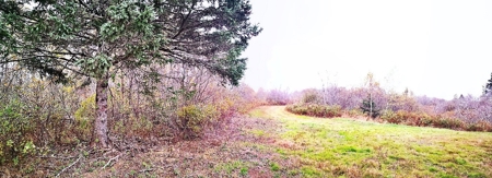 Coastal Waterfront Land for Sale - image 8