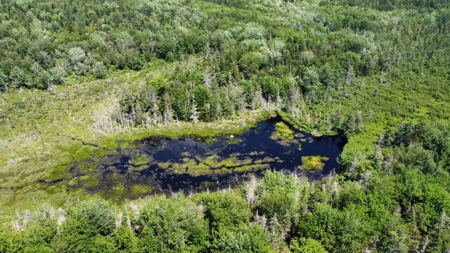Coastal Waterfront Land for Sale - image 14