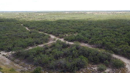 South Texas Ranch, minutes from town- Owner Financing!! - image 3