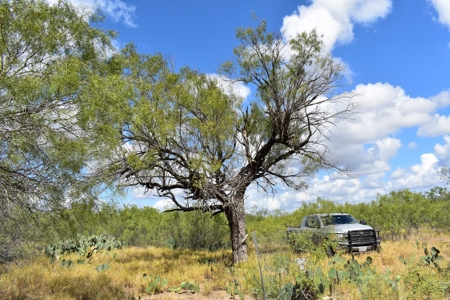 South Texas Ranch, minutes from town- Owner Financing!! - image 13