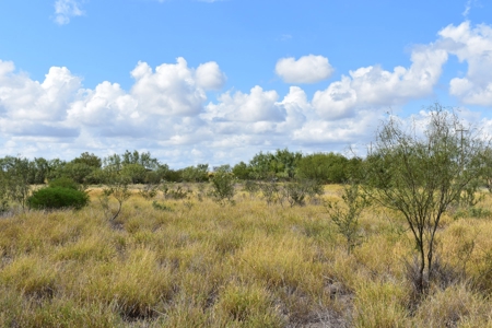 South Texas Ranch, minutes from town- Owner Financing!! - image 6