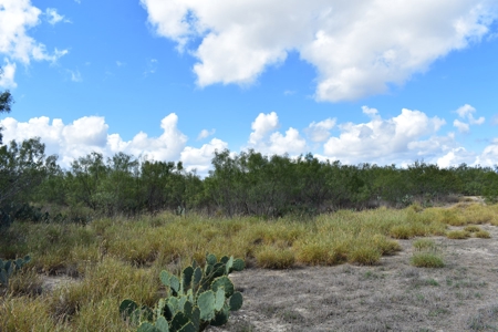 South Texas Ranch, minutes from town- Owner Financing!! - image 10