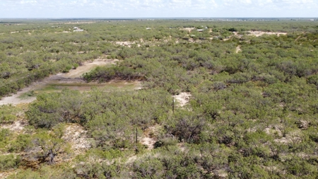 South Texas Ranch, minutes from town- Owner Financing!! - image 5