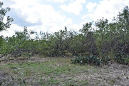 South Texas Ranch, minutes from town- Owner Financing!! - image 9