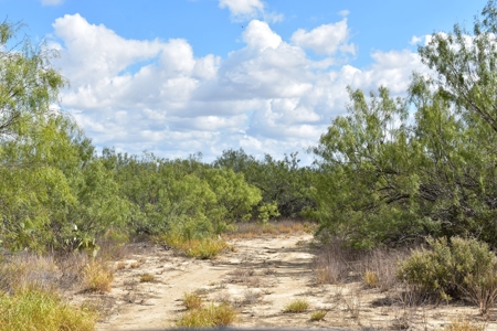 South Texas Ranch, minutes from town- Owner Financing!! - image 7