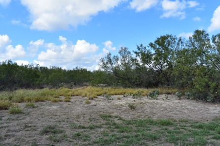 South Texas Ranch, minutes from town- Owner Financing!! - image 8