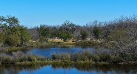 South Texas Ranch, minutes from town- Owner Financing!! - image 16