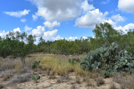 South Texas Ranch, minutes from town- Owner Financing!! - image 14