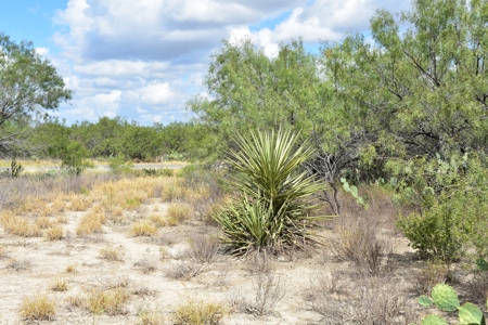 South Texas Ranch, minutes from town- Owner Financing!! - image 15