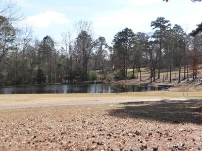 Holly Lake Ranch, Texas Golf Course Lot For Sale, East Tx - image 3